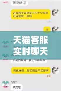 天猫客服实时聊天记录查看攻略:揭秘高效沟通技巧