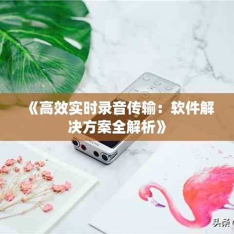 《高效实时录音传输:软件解决方案全解析》