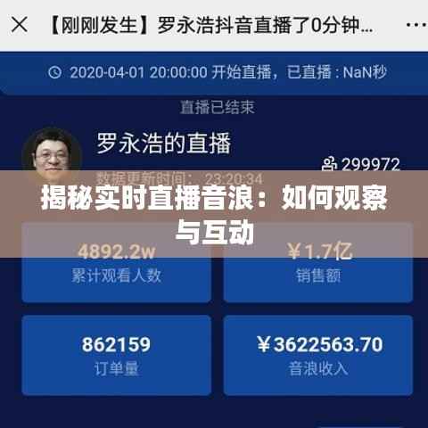 揭秘实时直播音浪:如何观察与互动
