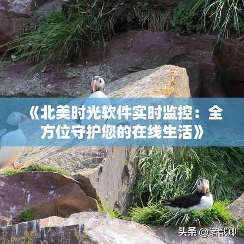 《北美时光软件实时监控：全方位守护您的在线生活》