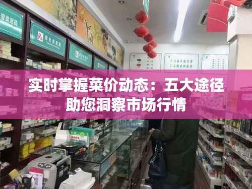 实时掌握菜价动态:五大途径助您洞察市场行情