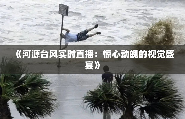《河源台风实时直播:惊心动魄的视觉盛宴》