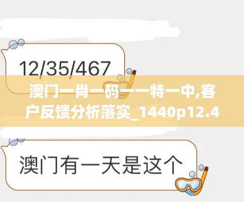 澳门一肖一码一一特一中,客户反馈分析落实_1440p12.454