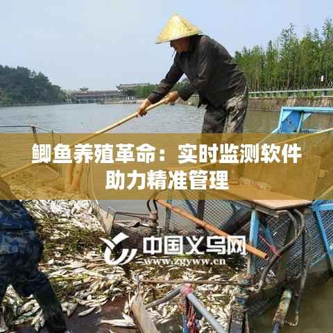 鲫鱼养殖革命：实时监测软件助力精准管理