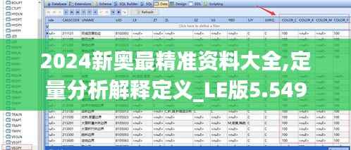 2024新奥最精准资料大全,定量分析解释定义_LE版5.549