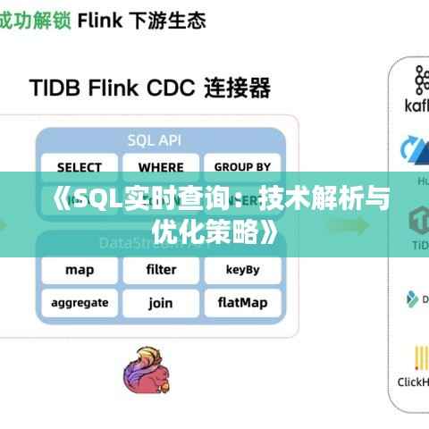 《SQL实时查询:技术解析与优化策略》