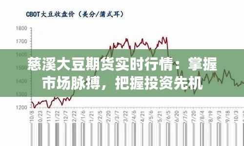 慈溪大豆期货实时行情：掌握市场脉搏，把握投资先机