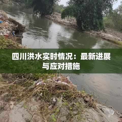 四川洪水实时情况:最新进展与应对措施