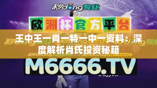 王中王一肖一特一中一资料:深度解析肖氏投资秘籍