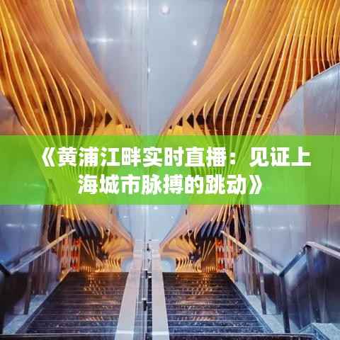 《黄浦江畔实时直播:见证上海城市脉搏的跳动》