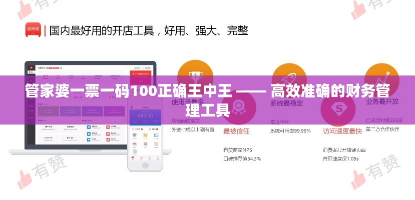 管家婆一票一码100正确王中王 —— 高效准确的财务管理工具