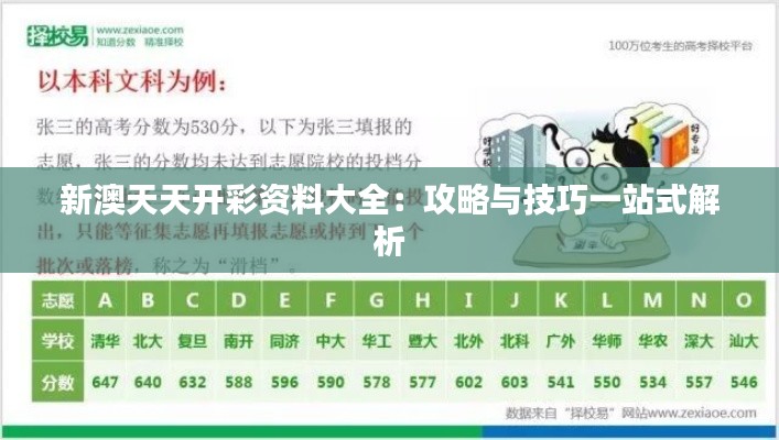 新澳天天开彩资料大全:攻略与技巧一站式解析