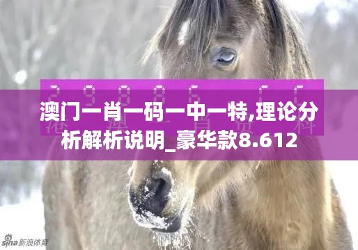 澳门一肖一码一中一特,理论分析解析说明_豪华款8.612