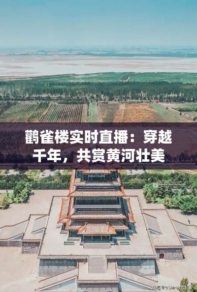 鹳雀楼实时直播:穿越千年,共赏黄河壮美