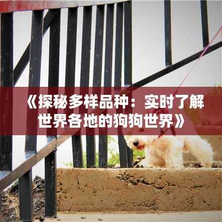 《探秘多样品种:实时了解世界各地的狗狗世界》