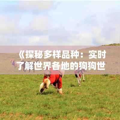 《探秘多样品种:实时了解世界各地的狗狗世界》