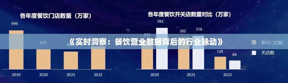 《实时洞察:餐饮营业数据背后的行业脉动》