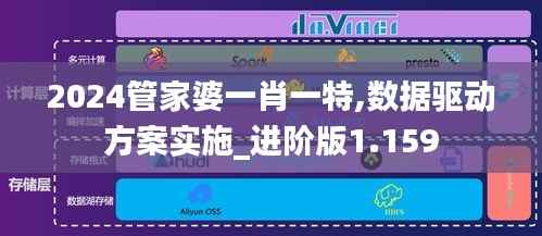 2024管家婆一肖一特,数据驱动方案实施_进阶版1.159