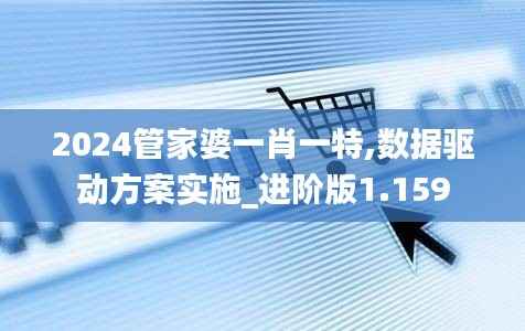 2024管家婆一肖一特,数据驱动方案实施_进阶版1.159