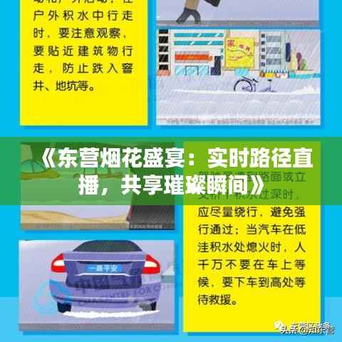 《东营烟花盛宴:实时路径直播,共享璀璨瞬间》