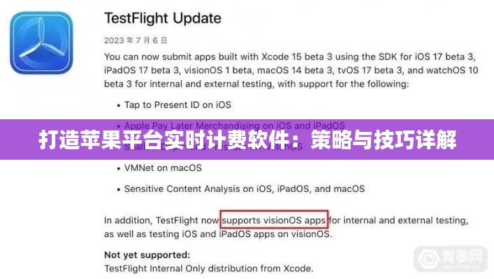 打造苹果平台实时计费软件：策略与技巧详解