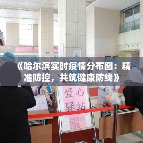 《哈尔滨实时疫情分布图：精准防控，共筑健康防线》