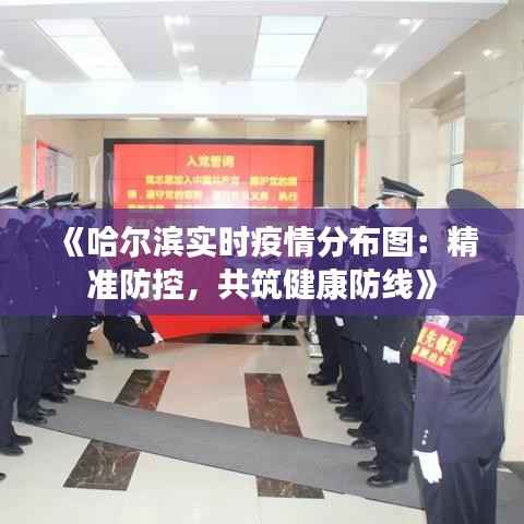 《哈尔滨实时疫情分布图:精准防控,共筑健康防线》