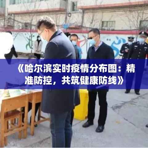 《哈尔滨实时疫情分布图:精准防控,共筑健康防线》