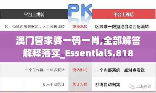 澳门管家婆一码一肖,全部解答解释落实_Essential5.818
