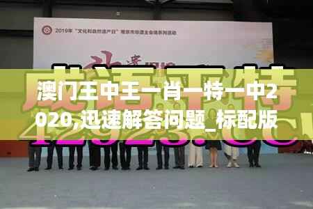 澳门王中王一肖一特一中2020,迅速解答问题_标配版9.214