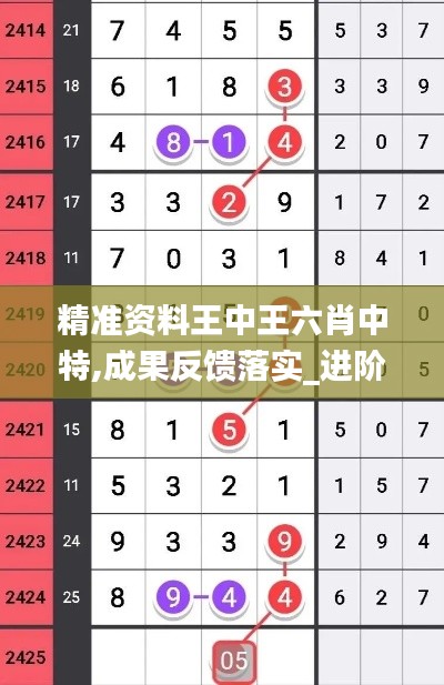 精准资料王中王六肖中特,成果反馈落实_进阶版110.595