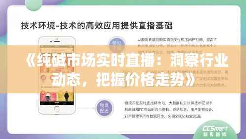 《纯碱市场实时直播:洞察行业动态,把握价格走势》