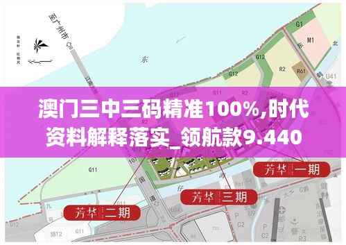 澳门三中三码精准100%,时代资料解释落实_领航款9.440