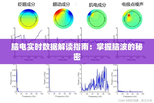 脑电实时数据解读指南:掌握脑波的秘密