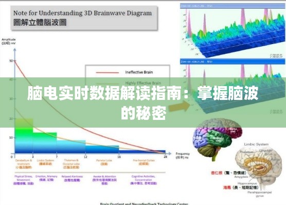脑电实时数据解读指南:掌握脑波的秘密