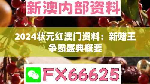 2024状元红澳门资料:新赌王争霸盛典概要