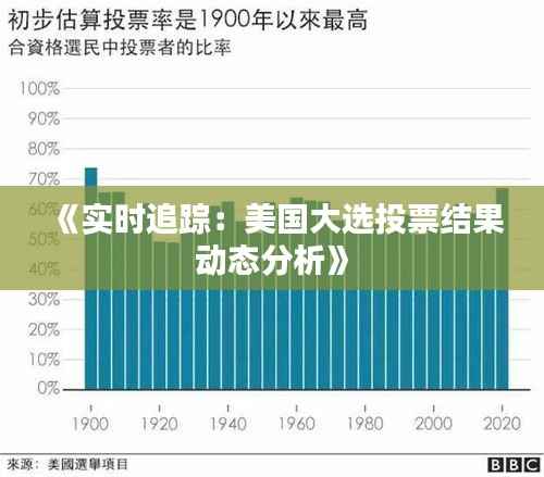 《实时追踪:美国大选投票结果动态分析》