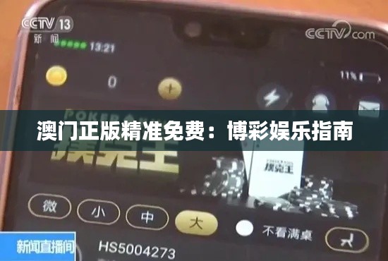 澳门正版精准免费：博彩娱乐指南