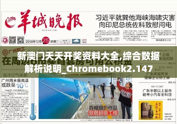 新澳门天天开奖资料大全,综合数据解析说明_Chromebook2.147