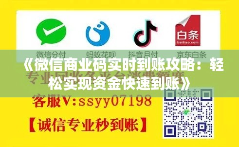 《微信商业码实时到账攻略:轻松实现资金快速到账》
