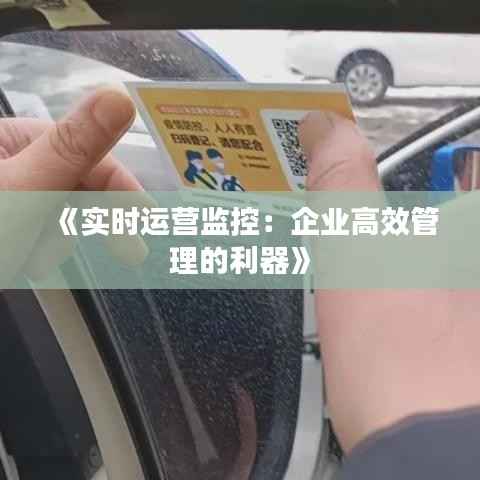 《实时运营监控:企业高效管理的利器》