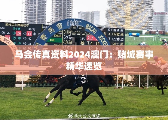 马会传真资料2024澳门:赌城赛事精华速览