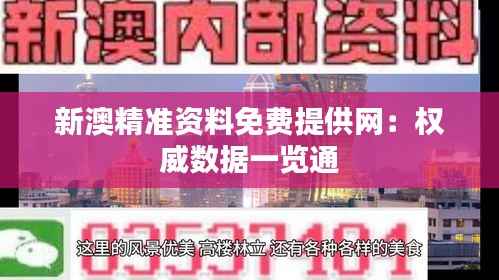 新澳精准资料免费提供网:权威数据一览通