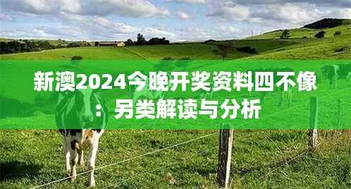 新澳2024今晚开奖资料四不像:另类解读与分析