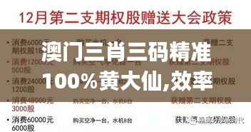 澳门三肖三码精准100%黄大仙,效率资料解释落实_6DM18.222