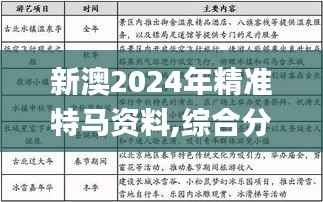 新澳2024年精准特马资料,综合分析解释定义_进阶款10.891