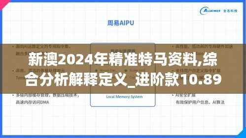 新澳2024年精准特马资料,综合分析解释定义_进阶款10.891