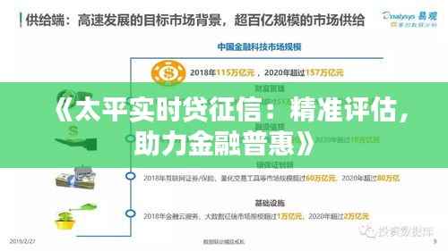 《太平实时贷征信：精准评估，助力金融普惠》