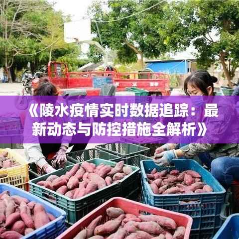 《陵水疫情实时数据追踪:最新动态与防控措施全解析》