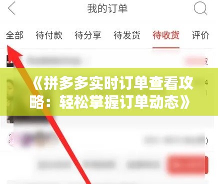 《拼多多实时订单查看攻略：轻松掌握订单动态》